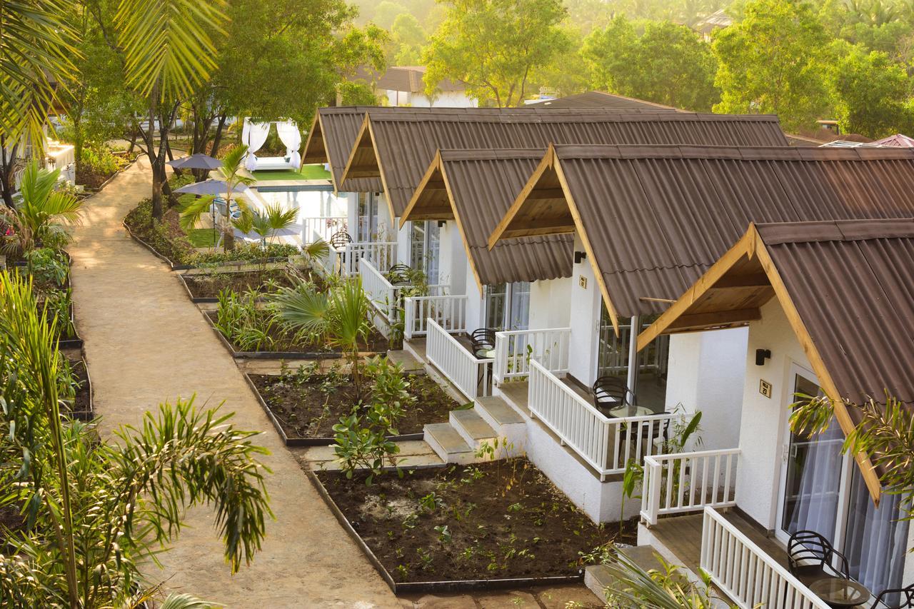 White Woods Resort